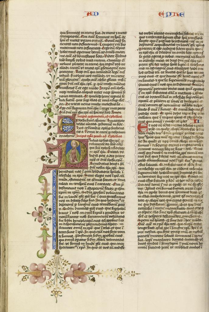 Illuminated Manuscript