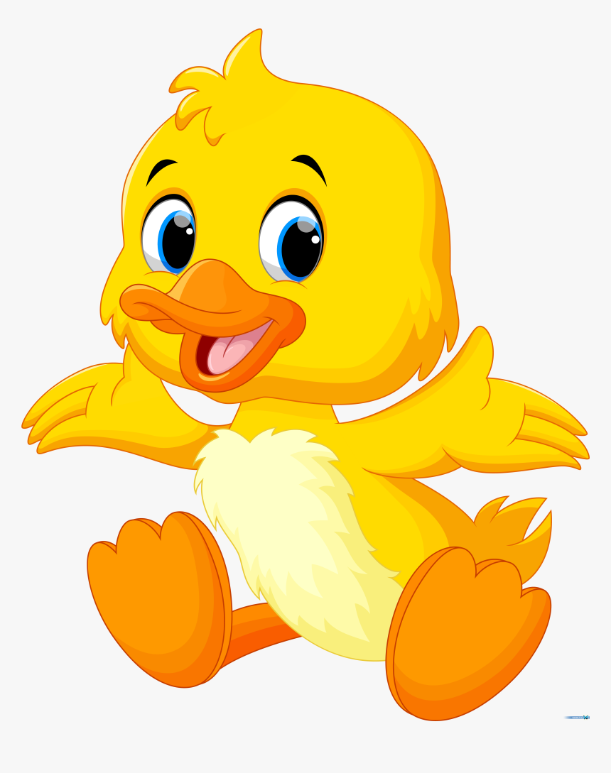 duck