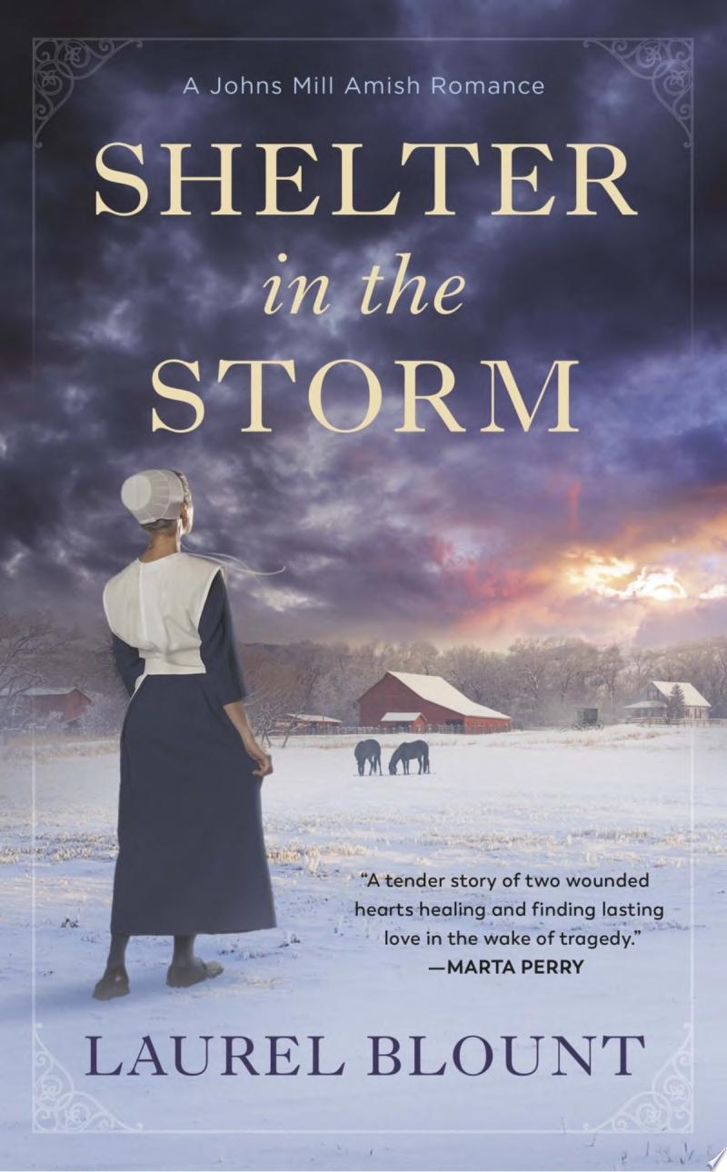 Image for "Shelter in the Storm"
