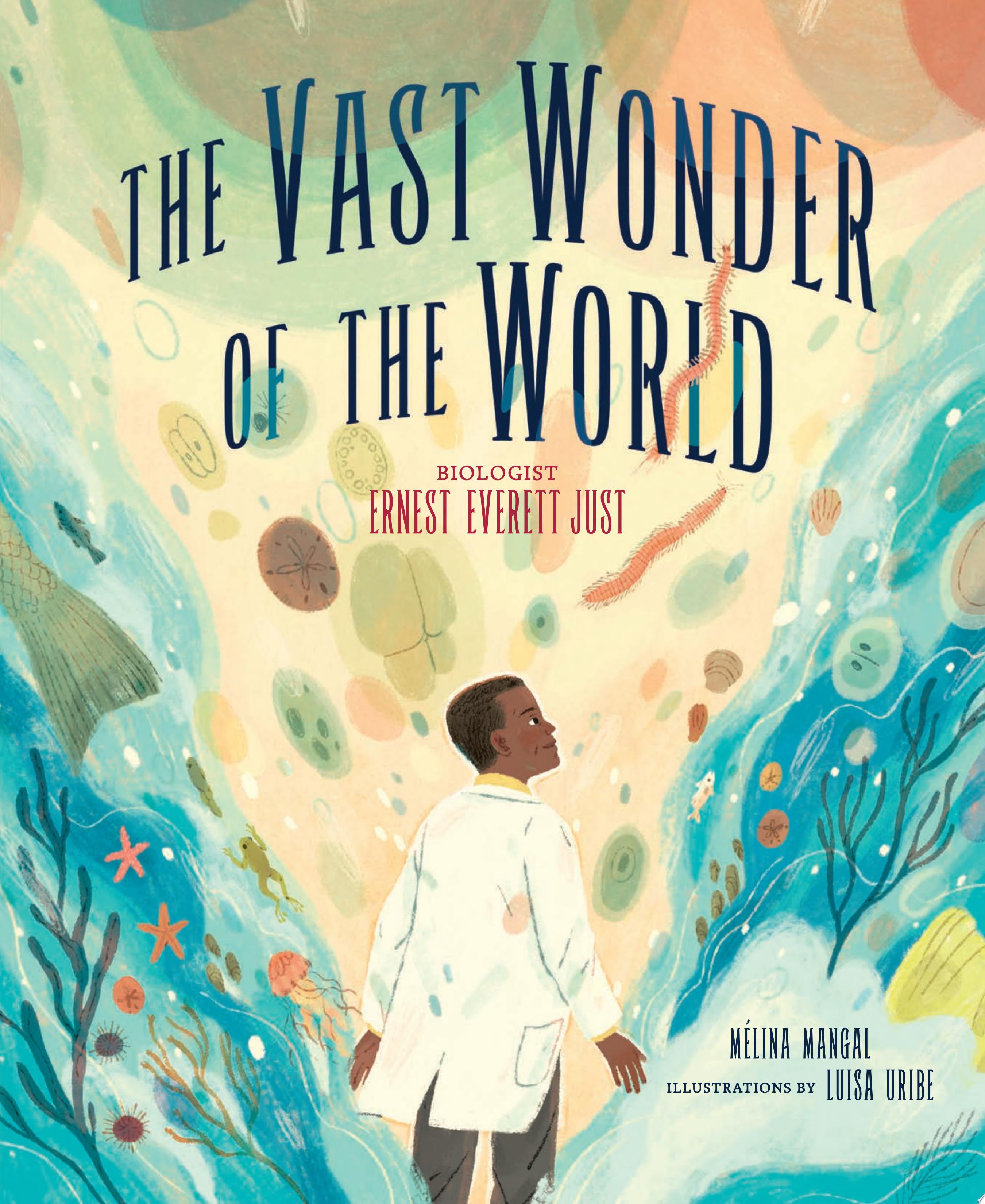 Image for "The Vast Wonder of the World"