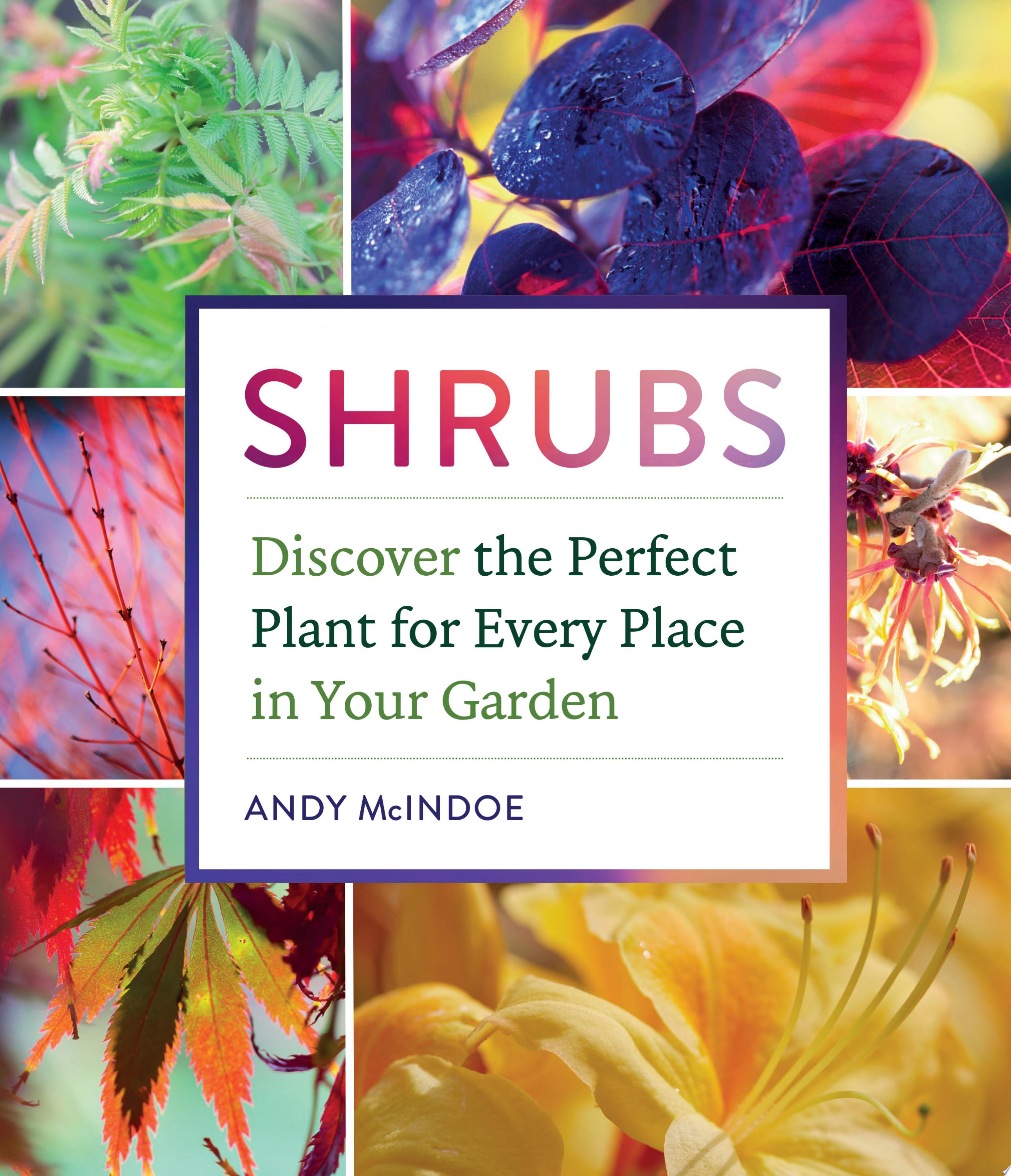 Image for "Shrubs"