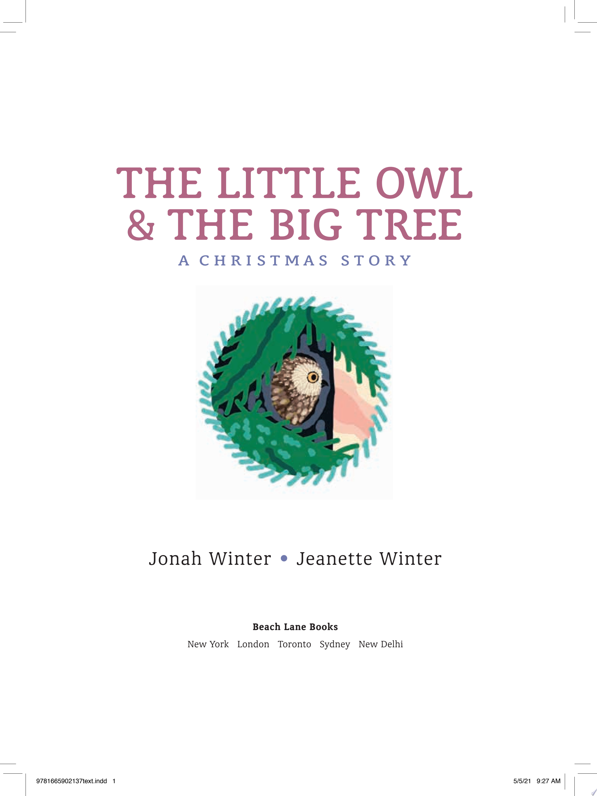 Image for "The Little Owl & the Big Tree"