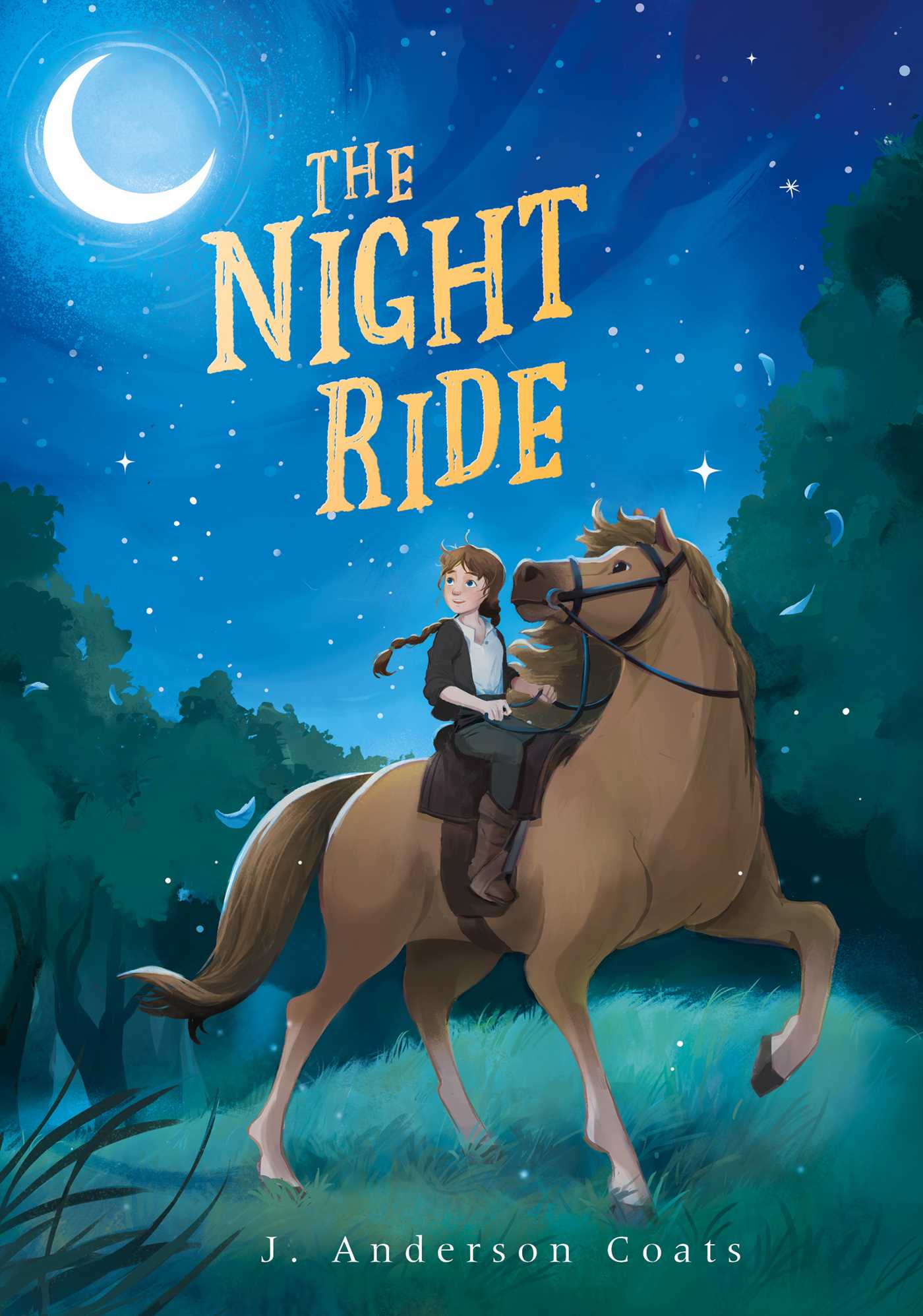 Image for "The Night Ride"