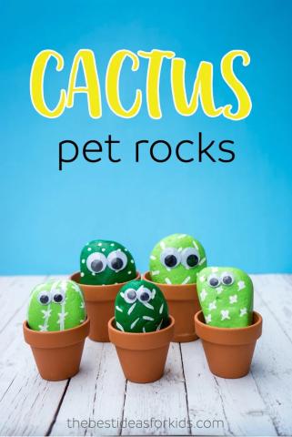 cactus craft