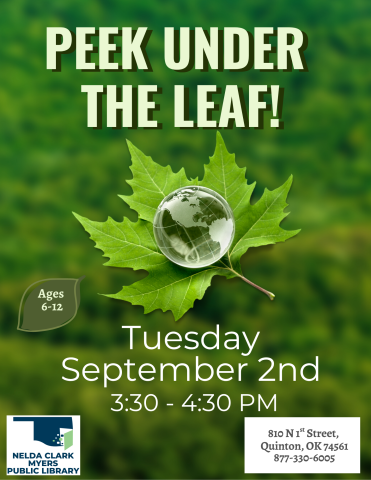 25-09 Peek Under the Leaf!.png