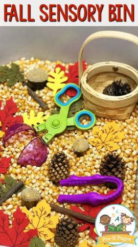 fall sensory bin
