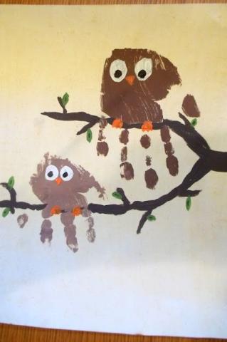 owl