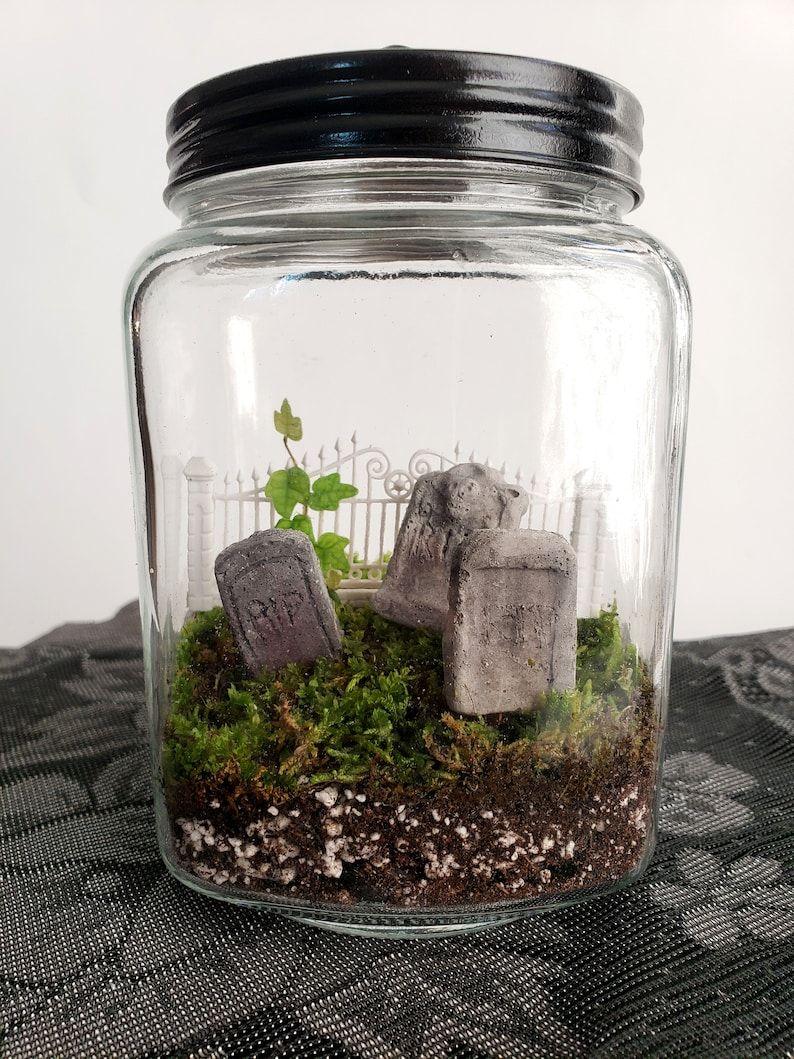 Cemetery Terrarium