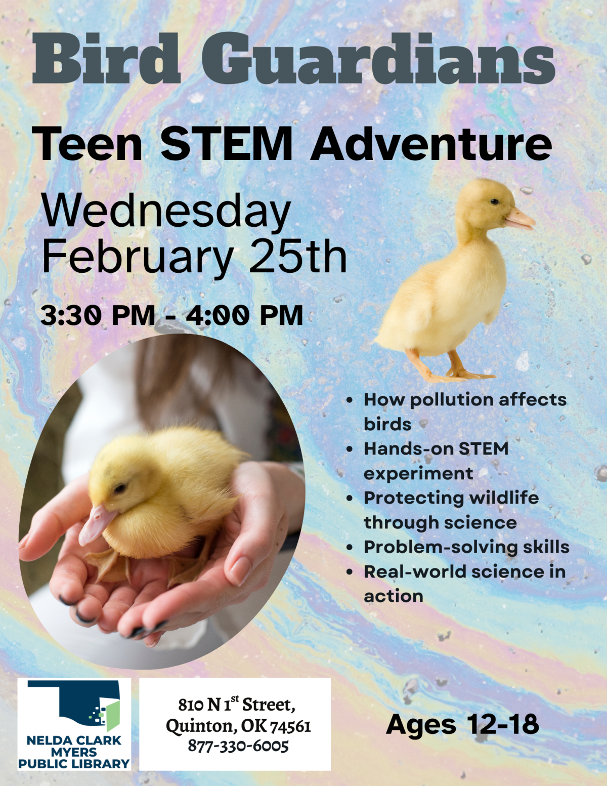 26-02 Bird Guardians 25th.png