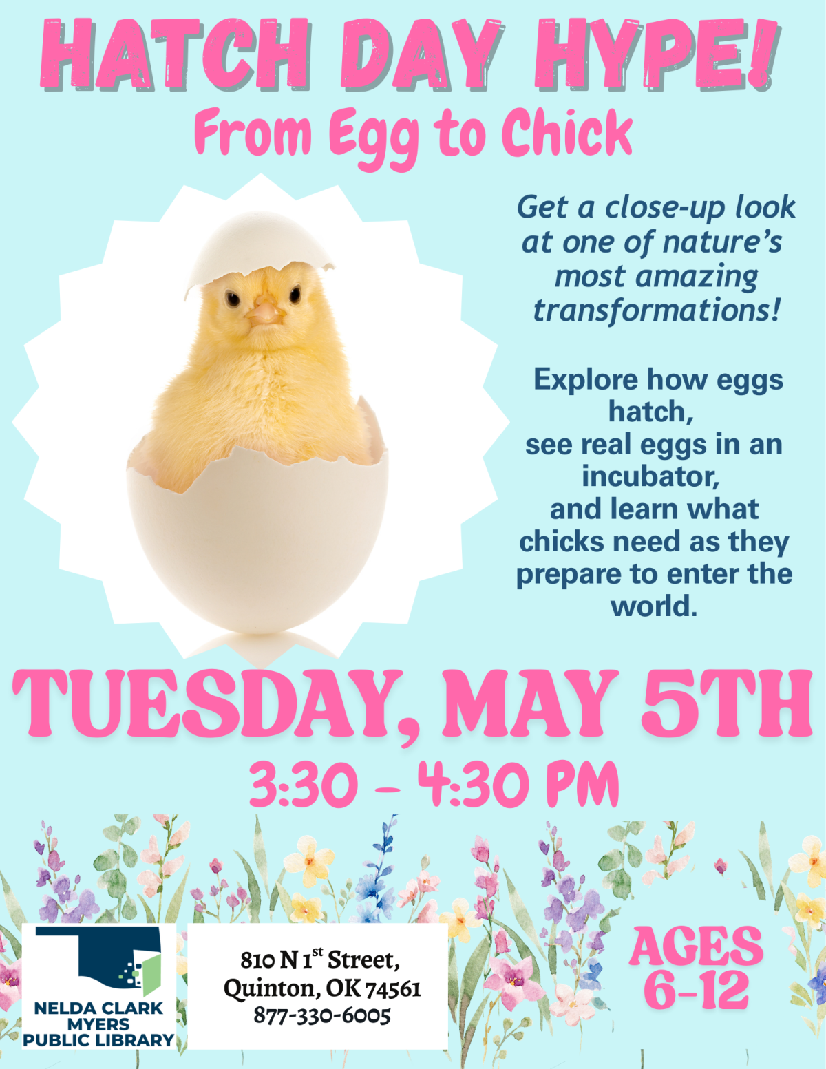 26-05 Hatch Day Hype.png