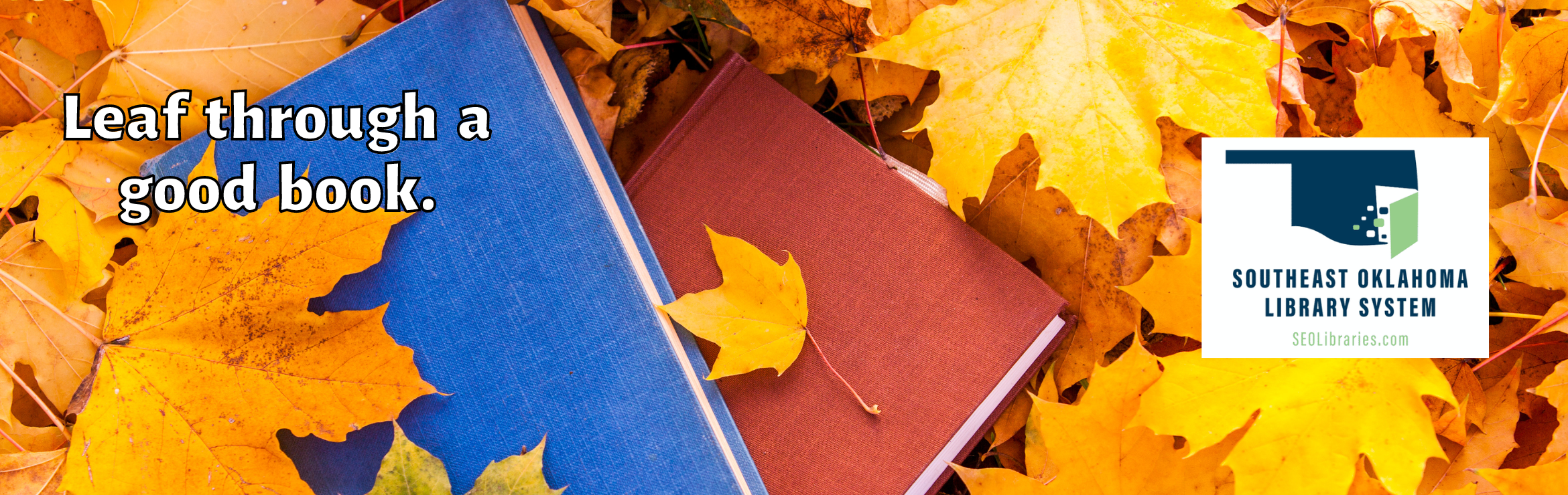 Leaf through a good book.